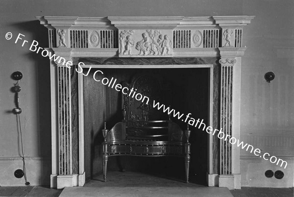 ABBEYLEIX HOUSE  FIREPLACE IN LIBRARY